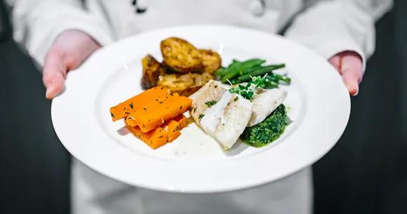 Food & Nutrition