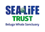 Sea Life Trust - Beluga Whale Sanctuary