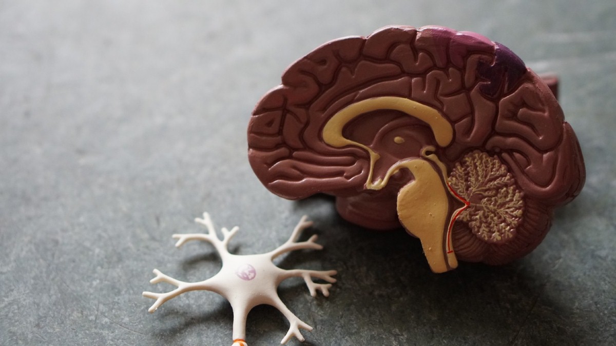 Alzheimer’s research to focus on condition’s subtypes Alzheimer’s research to focus on condition’s subtypes