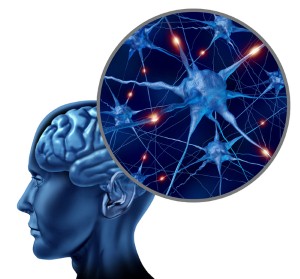 Alzheimer's charity hopes to raise awareness at free public event Alzheimer's charity hopes to raise awareness at free public event