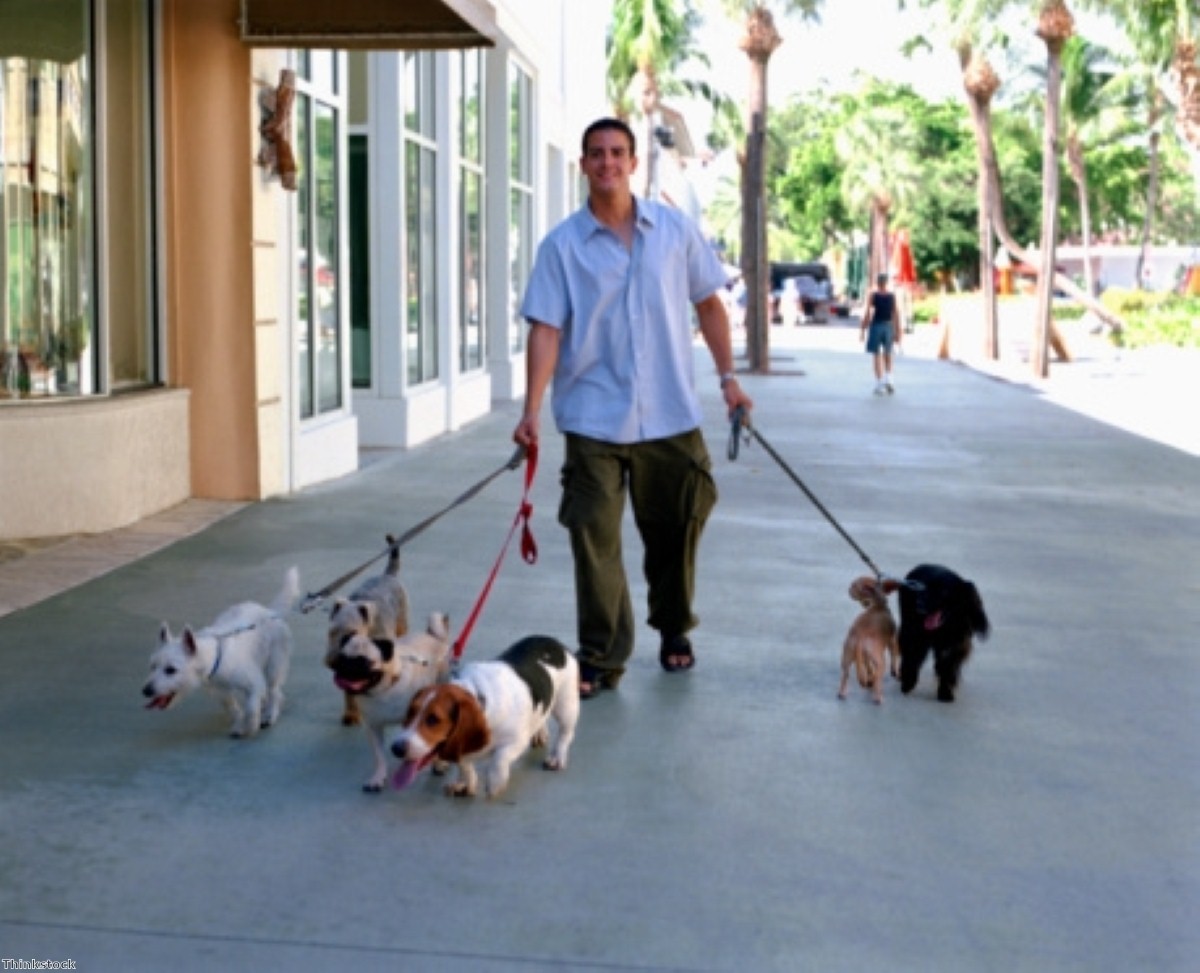 A brisk walk 'improves memory in older people' A brisk walk 'improves memory in older people'