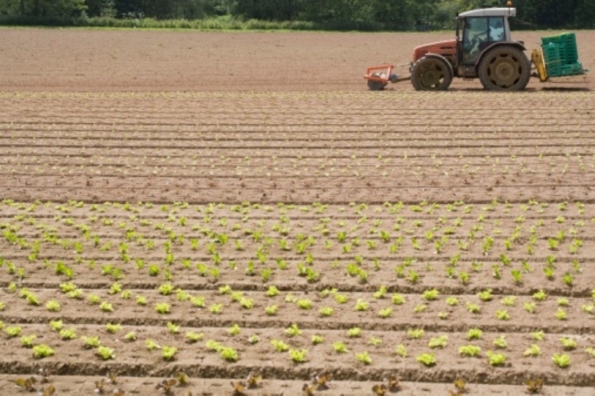 Pesticide exposure 'increases Parkinson's risk' Pesticide exposure 'increases Parkinson's risk'