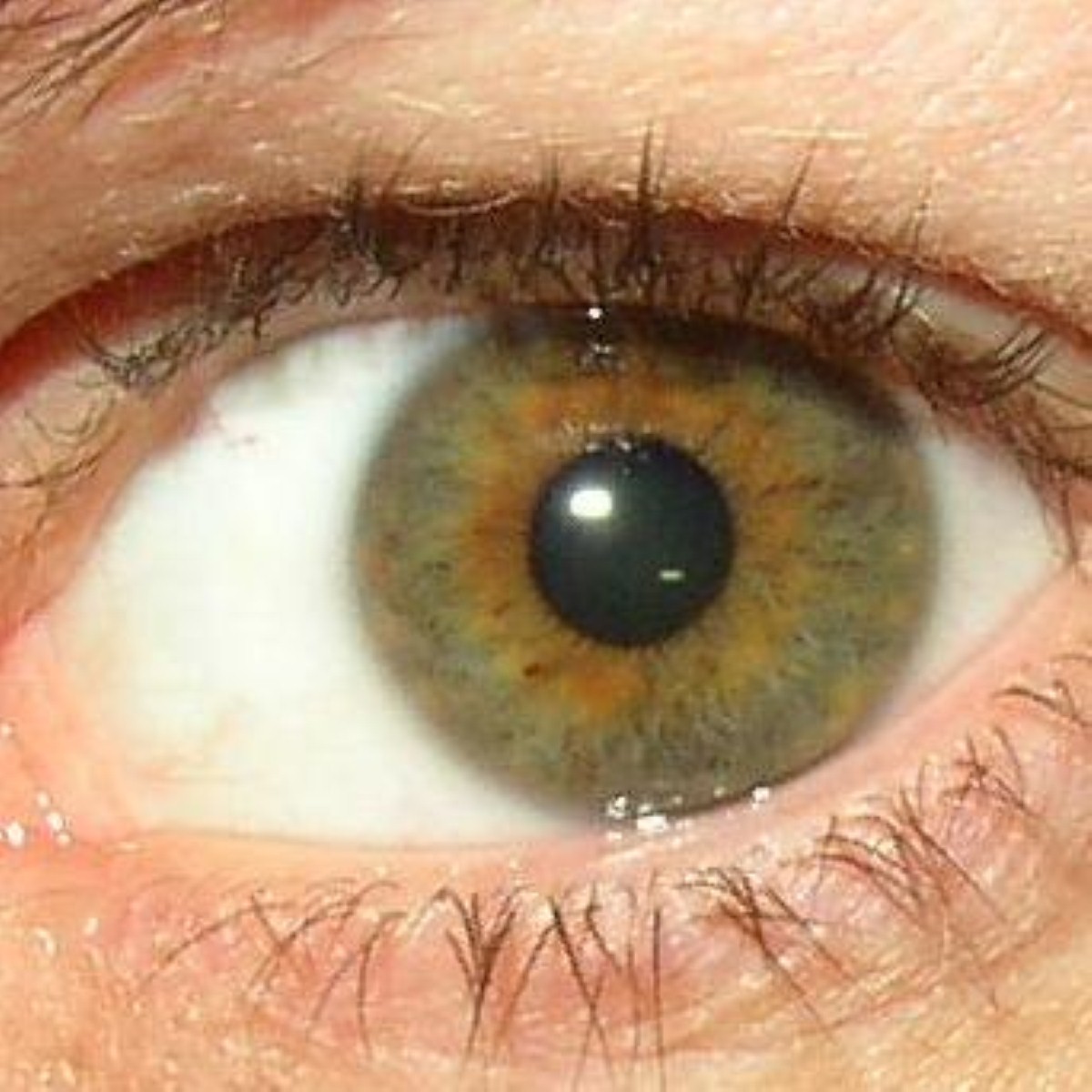 A good diet will improve eye health, experts claim A good diet will improve eye health, experts claim