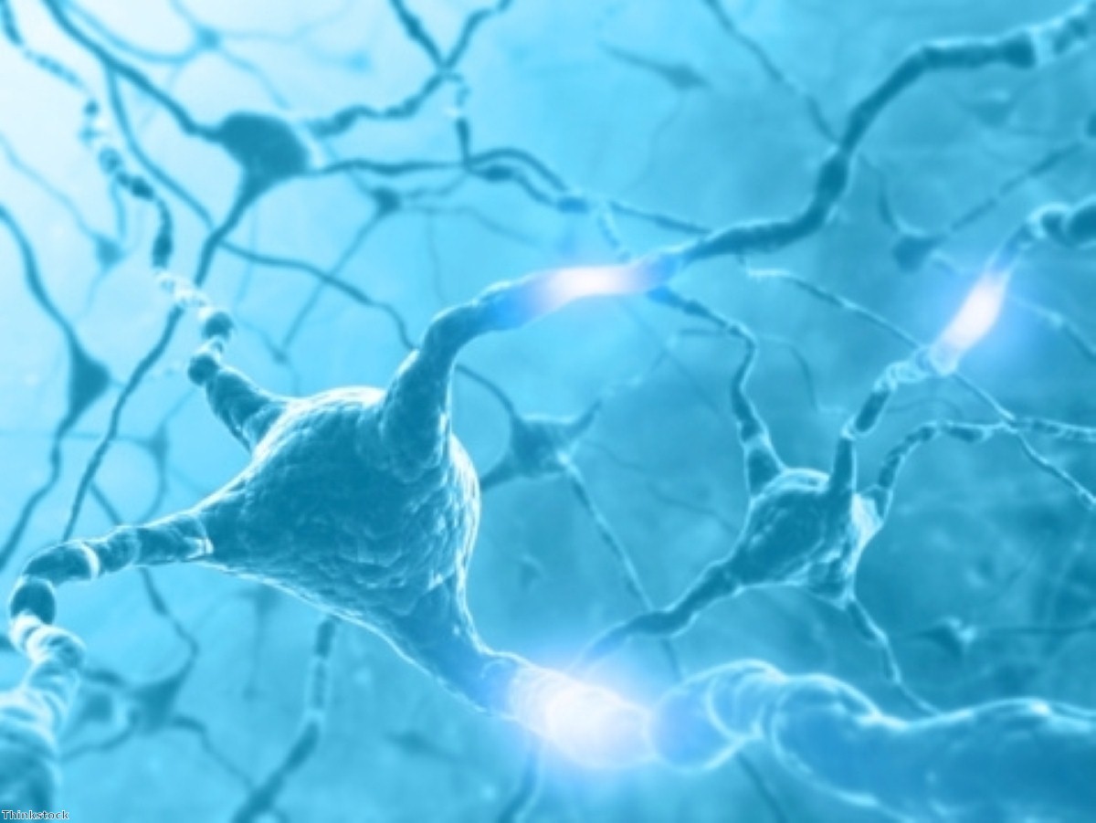 Brain's response to injury is identified Brain's response to injury is identified