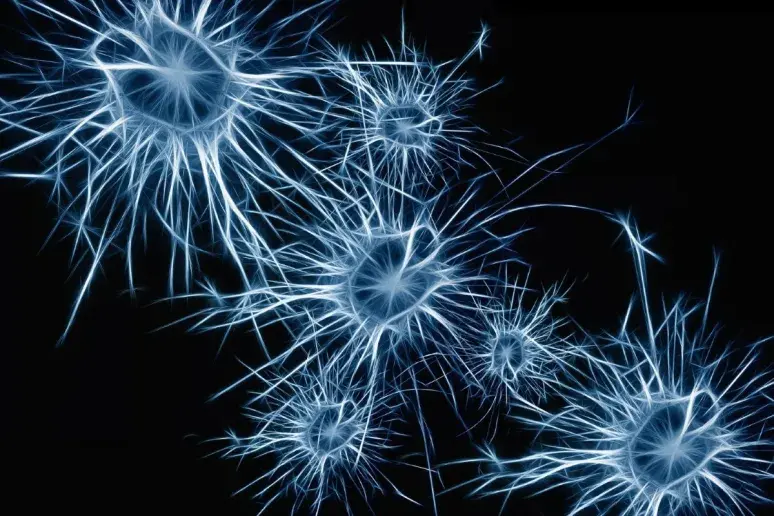 Memory loss-reversing electromagnetic cap could be Alzheimer’s breakthrough