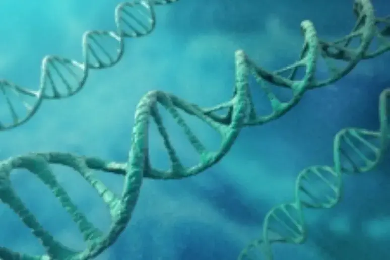 Does DNA modification play a part in Alzheimer's?