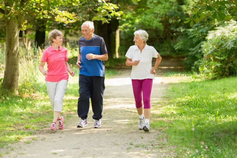 New study highlights importance of activity