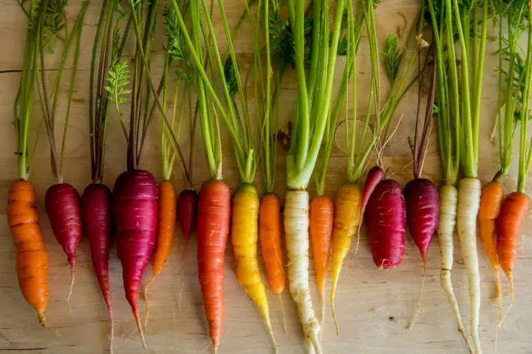Carrots, kale and sweet potatoes could prevent dementia in older adults