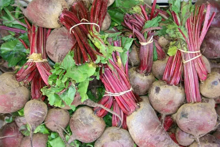 Study suggests beetroot could fight dementia