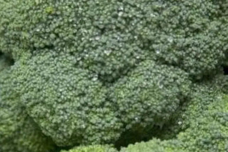 Do not overcook cancer-fighting broccoli, expert says