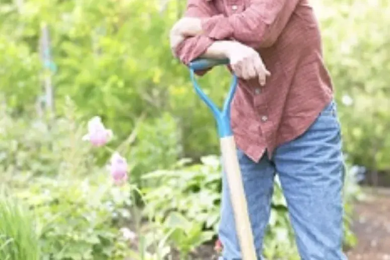 Older people who garden 'more likely to eat healthily'