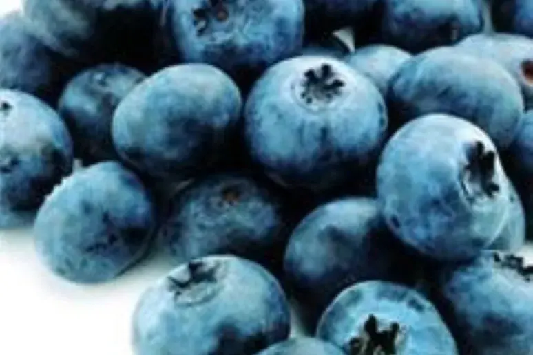Blueberries to ward off obesity?