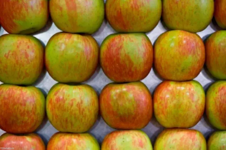 Apples 'miracle fruit' for older women