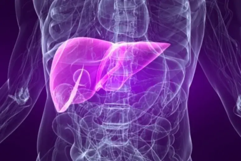 Mortality risk not heightened by fatty liver disease