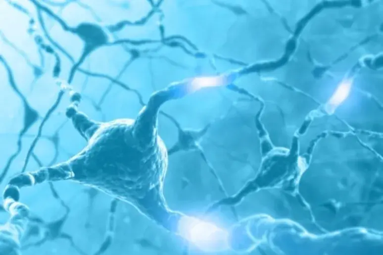 Parkinson's cell visualisation will create better treatments