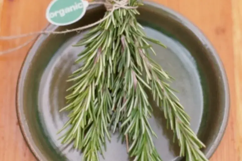 Will taking rosemary boost the performance of your brain?