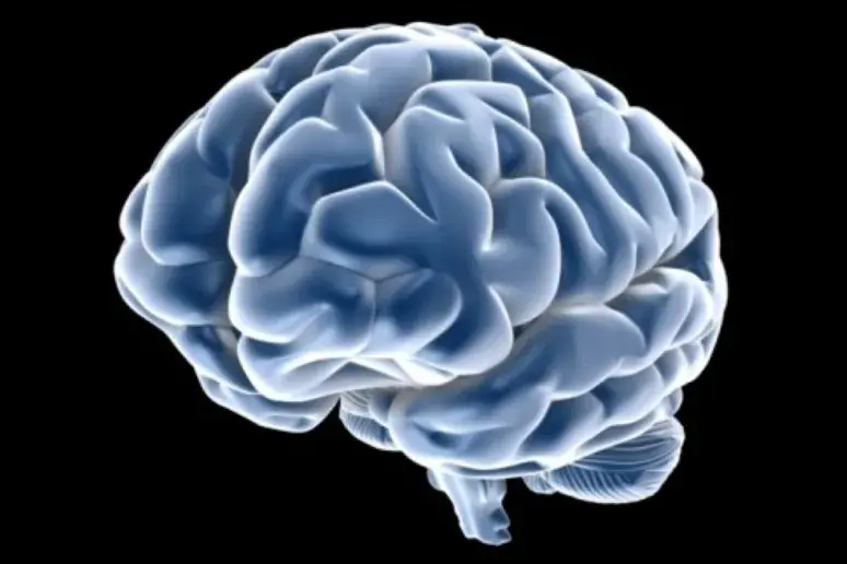Researchers discover mechanism implicated in brain edema