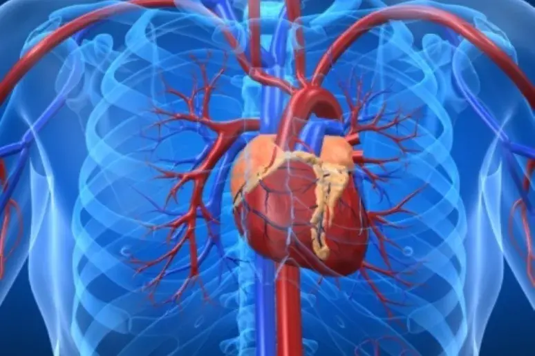Injecting drug into coronary artery could reduce heart damage?