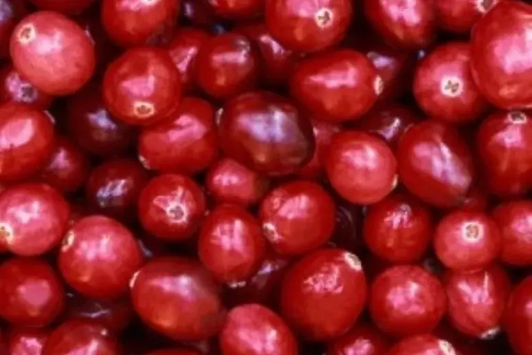 Low-calorie cranberry juice has blood pressure benefits