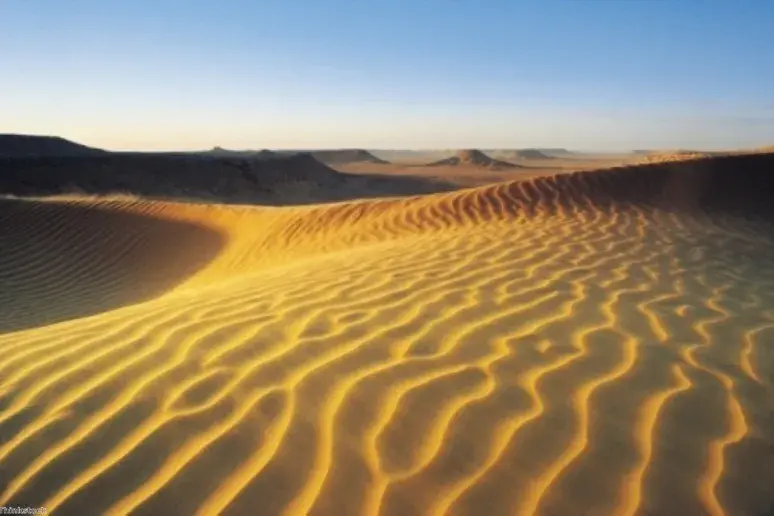 Pupils trek the desert in aid of Alzheimer's charity