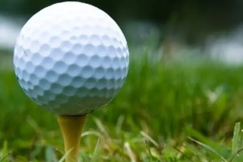 Golfers Raise Money for Alzheimer's Society